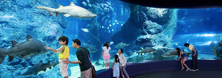 Siam Ocean World Aquarium Ticket only (no meals, no transfers)