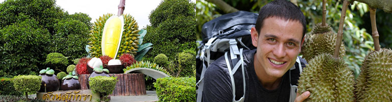 Supattra Land Fruit Farm One Day trip & Pattaya Beach