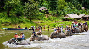 EXB010 - Bridge over the River Kwai One Day Trip & Elephant Trekking Tour (with Thai Buffet Lunch)