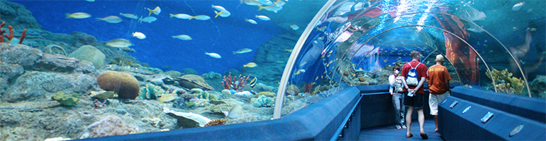 Underwater World Pattaya (half day)