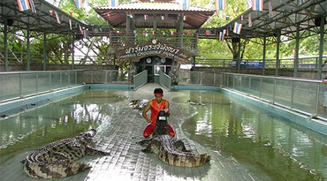 The Million Years Stone Park & Pattaya Crocodile Farm (Ticket Only)